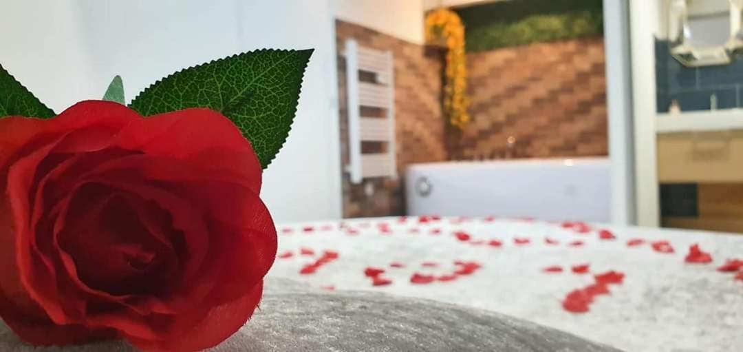 Love Rooms De La Presqu'Ile Saint-Vincent-de-Paul  المظهر الخارجي الصورة